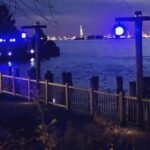 Bonnie Somerville Instagram - I love New York in spring - how bout you? #nyc #spring Battery Park City