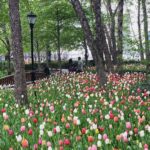 Bonnie Somerville Instagram - I love New York in spring - how bout you? #nyc #spring Battery Park City