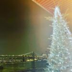 Bonnie Somerville Instagram - Last days of 2022…I love my hometown- here’s to an amazing 2023 everyone. Let’s focus on love. Wishing you all health, wealth, & happiness. But most of all- Love. 🎄✨❤️ New York, New York
