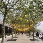 Bonnie Somerville Instagram - I love New York in spring - how bout you? #nyc #spring Battery Park City