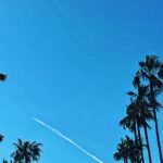 Bonnie Somerville Instagram - LA Dayz...