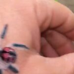 Boogie Instagram - Rare find!