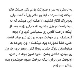 Borzoo Niknejad Instagram - 
