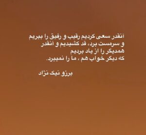 Borzoo Niknejad Instagram - 