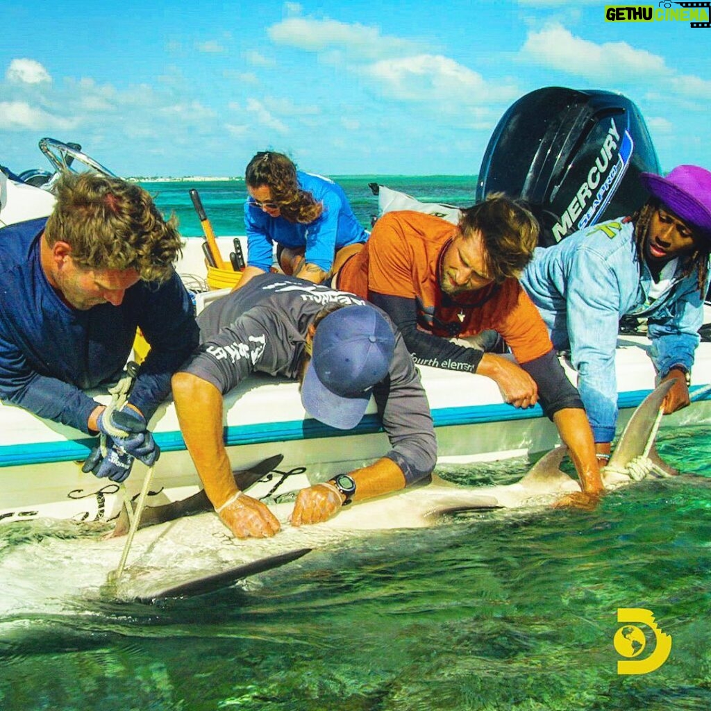 Brad Benedict Instagram - With #sharkweek2022 coming up, here is great memory from my #sharkweek adventure of a lifetime while filming the series #SharkAcademy. Look for reruns on @discovery or @discoveryplus! . This was during a bull shark work up. We discovered this big girl was pregnant after doing an ultrasound. We took a fin sample, tissue sample, and a blood sample. We inserted a tracking tag and a microchip for identification as we study this girl for years to come and help to conserve the species. . #tonicimmobility #bullshark #sharklab #sharkresearch #sharkconservation @sharkweek Bimini Biological Field Station - Shark Lab