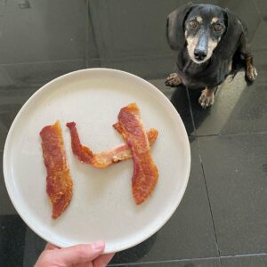 Brian K. Vaughan Instagram - Happy Birthday, Hamburger K. Vaughan! He’s been with us for three homes, four U.S. presidents, and 54 carefully curated letters pages of Saga. To Be Continued… #goodnewscoming #thanksforyourimpatience #smellyolddachshund