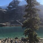 Brian Tyree Henry Instagram - 111 flights. 6 vertical-ish miles. Went from #sightseeing to #fitness real quick. #joffrelakes #canada #hiking #missme #beautiful but #fuckmylife #oxygen #elevation #iwalkedthatshitinconverse #kaytranada for the ride home. #couldntgetincarfastenough #fall is still my #fav #season. (The crux of this post is I hate hiking. Not sure I was clear.)🤷🏿‍♂️ Whistler, Canada