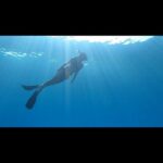 Briana Evigan Instagram - A little magical birthday yesterday thank you Damien for getting me back in the water! We went free diving and have had ptsd over an ear issue I had years ago! It felt so good to be back in the underworld. The ocean, one of the most important parts of our planet. It was refreshing and gave me hope to see life underwater again. With everything going on in the world right now, all of its heaviness, torture, and disconnect. It was a moment of deep connection to the planet, silence, mediation and therapy watching the turtles and fish live their lives the way they do. Complete peace, other than when we found a Nemo fish and it’s baby looking terrified to come out of a plant it was hiding in. 🤣very grateful for this trip and all the humans we’ve been with for the last month. It’s been a difficult come down actually and personally confronting in all the most beautiful ways. Feelin lucky and blessed to be alive and surrounded by so much unconditional love and human connection. May the overwhelm, adventure, spontaneity, family time, and abundance continue on our beautiful honeymoon! ♥️