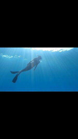 Briana Evigan Instagram - A little magical birthday yesterday thank you Damien for getting me back in the water! We went free diving and have had ptsd over an ear issue I had years ago! It felt so good to be back in the underworld. The ocean, one of the most important parts of our planet. It was refreshing and gave me hope to see life underwater again. With everything going on in the world right now, all of its heaviness, torture, and disconnect. It was a moment of deep connection to the planet, silence, mediation and therapy watching the turtles and fish live their lives the way they do. Complete peace, other than when we found a Nemo fish and it’s baby looking terrified to come out of a plant it was hiding in. 🤣very grateful for this trip and all the humans we’ve been with for the last month. It’s been a difficult come down actually and personally confronting in all the most beautiful ways. Feelin lucky and blessed to be alive and surrounded by so much unconditional love and human connection. May the overwhelm, adventure, spontaneity, family time, and abundance continue on our beautiful honeymoon! ♥️