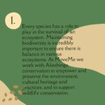 Briana Evigan Instagram - Our top 3 reasons on why we believe animal conservation is important. Why do you think animal conservation is important? Let us know in the comments below! 😁 . #MoveMe #africa #southafrica #empowerment #communityfirst #humanity
