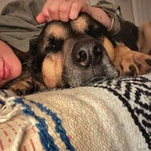 Briana Evigan Instagram - My sweet boy maxito #maxthecomebackdog. The one that taught me unconditional love before my husband and son came along. We must never forget. Animals are the silent whispers of the world that give us everything leading up to what’s dealt to us. He is the calm, the reminder, the peace maker. The love that filled me when I had so many nights feeling empty. Now I have him and so much more… ♥️ the guardian of my galaxy.