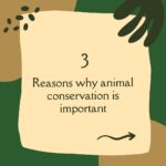 Briana Evigan Instagram - Our top 3 reasons on why we believe animal conservation is important. Why do you think animal conservation is important? Let us know in the comments below! 😁 . #MoveMe #africa #southafrica #empowerment #communityfirst #humanity
