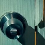 Briana Evigan Instagram - Filme: Nas Garras do Tigre | Disponível na Prime Vídeo Sinopse: Kelly sente que sua vida está se desmanchando; a morte de sua mãe a deixou como guardiã de Tom, seu irmão autista de 12 anos de idade e acaba de descobrir que seu padrasto furtou dinheiro reservado para seu colégio e comprou um tigre para o seu parque safari; para piorar, um furacão está indo na direção da sua casa; mas Kelly tem algo mais a temer que os ventos de 120 quilômetros por hora do furacão o tigre selvagem, de alguma forma caiu dentro de sua casa. #filmeseseries #melhoresfilmesaqui #melhorcena #serie #filme #filmeseseries #nasgarrasdotigre #reidosfilmes👑 @brianaevigan