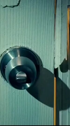 Briana Evigan Instagram - Filme: Nas Garras do Tigre | Disponível na Prime Vídeo

Sinopse: Kelly sente que sua vida está se desmanchando; a morte de sua mãe a deixou como guardiã de Tom, seu irmão autista de 12 anos de idade e acaba de descobrir que seu padrasto furtou dinheiro reservado para seu colégio e comprou um tigre para o seu parque safari; para piorar, um furacão está indo na direção da sua casa; mas Kelly tem algo mais a temer que os ventos de 120 quilômetros por hora do furacão o tigre selvagem, de alguma forma caiu dentro de sua casa.

#filmeseseries #melhoresfilmesaqui #melhorcena #serie #filme #filmeseseries #nasgarrasdotigre #reidosfilmes👑 
@brianaevigan