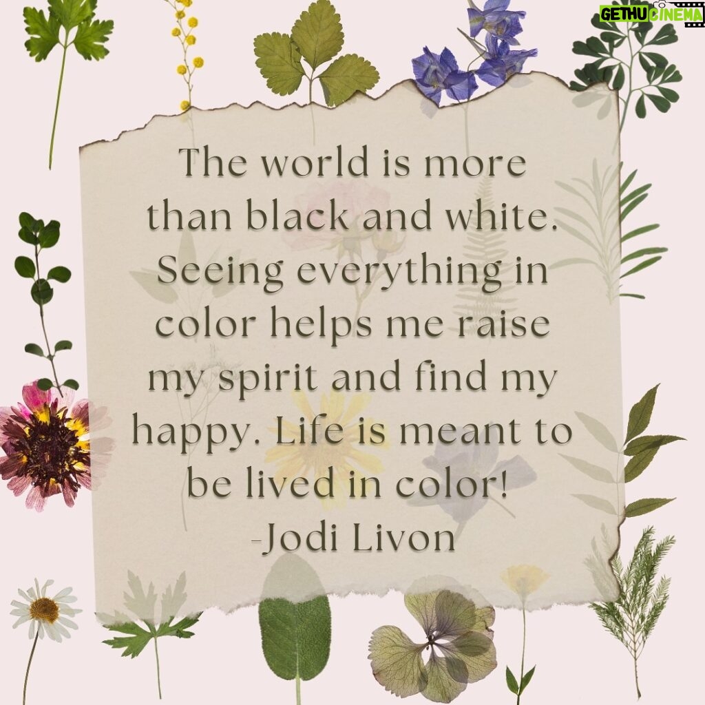 Brie Garcia Instagram - Mindful Monday reminder that the world isn’t black and white, so live your life in color 💐🌸🌹🌷🌼🌷🌻🪻🌿 #mindfulmonday