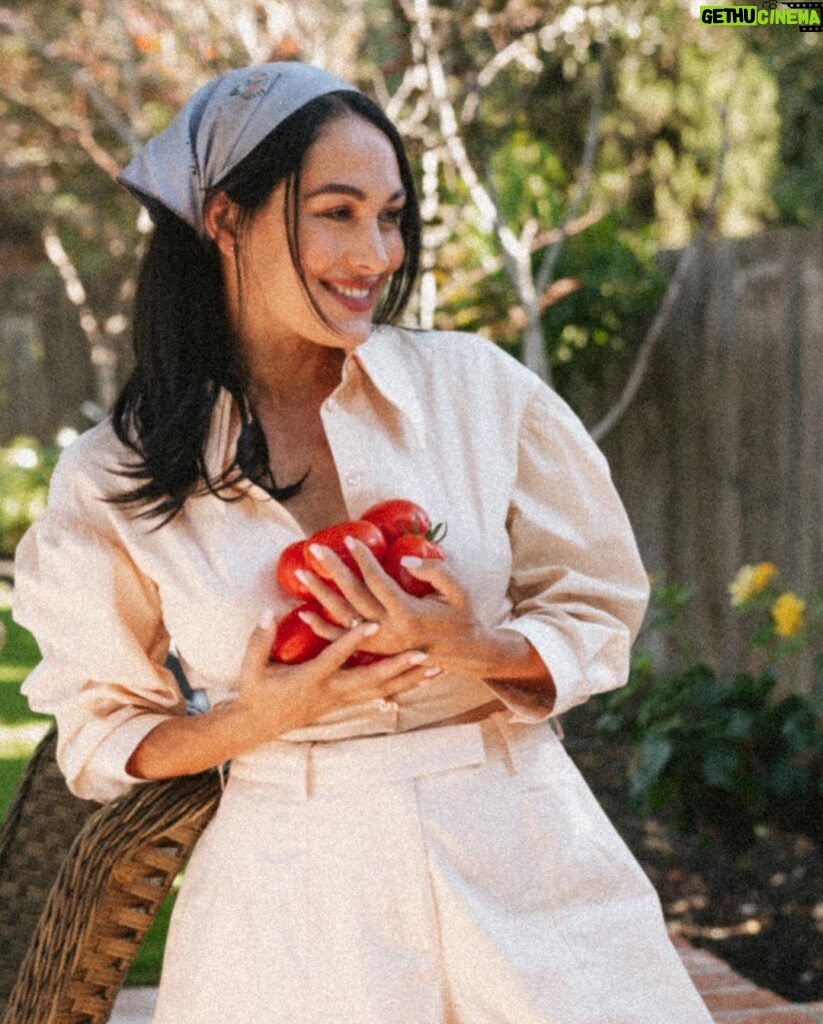 Brie Garcia Instagram - Our garden has given us so many tomatoes this summer! 🍅 Using them to make my Nana’s tomato sauce with my kids has brought me so much joy…how special to be able to pass down family traditions to our children? This #mindfulmonday has me thinking about quality time with my family and making those memories together ❤️ Would love to hear about your family traditions that you’re passing down to your kids 🥰