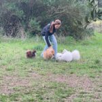 Brisa Fenoy Instagram - Filo buen viaje a las estrellas te llevaré en mi corazón todos los días de mi vida. Nos veremos cuando tenga que ser y correremos juntos por el camino del universo. 15 años han sido suficientes para que me dejes tu inmensa lección de ver el mundo con tus ojos de color Ámbar, tus ojos de amor universal incondicional y pureza. De jugar con la vida. De estar presente en el camino. Y Oler todos los perfumes que me ofrezca la naturaleza. Poner límites y marcar mi territorio, para que nadie pueda abusar de mi. Y ladrarle a la vida con mis canciones. Te amo y amare eternamente en el infinito siempre estaremos juntos tú playa y yo te echamos de menos es raro estar sin ti. Pero estas :) Playa de Getares
