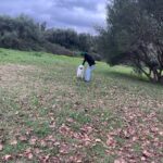 Brisa Fenoy Instagram - Estar en casa es playa y montañas Es río y es mar Estar en casa es oler la brisa marina Y ver llover sobre el cristal Escuchar la canción que las olas me cantan Antes de dormir Es reconocer que aquí fui una niña feliz, que aquí me aman mengüe o crezca . Suba o baje. Caiga o levante. Sea poniente o sea levante. El viento me arropa salvaje. Estar en casa es saber que siempre me puedo ir porque tengo donde volver Y que tengo una casa donde jugar Al juego infinito de la transformación Estar en casa no es un lugar es una sensación Que te acompaña a donde vayas y de dónde vengas