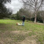 Brisa Fenoy Instagram - Estar en casa es playa y montañas Es río y es mar Estar en casa es oler la brisa marina Y ver llover sobre el cristal Escuchar la canción que las olas me cantan Antes de dormir Es reconocer que aquí fui una niña feliz, que aquí me aman mengüe o crezca . Suba o baje. Caiga o levante. Sea poniente o sea levante. El viento me arropa salvaje. Estar en casa es saber que siempre me puedo ir porque tengo donde volver Y que tengo una casa donde jugar Al juego infinito de la transformación Estar en casa no es un lugar es una sensación Que te acompaña a donde vayas y de dónde vengas