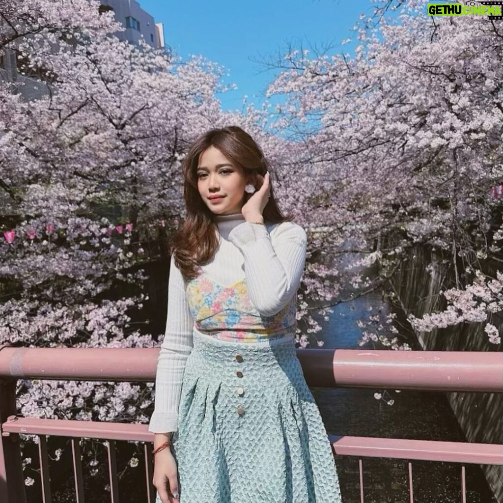 Brisia Jodie Instagram - kembang sakura🌸 Sumida, Tokyo