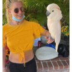 Britney Spears Instagram - LAST YEAR in MAUI 🌴 !!! Crazy right ???