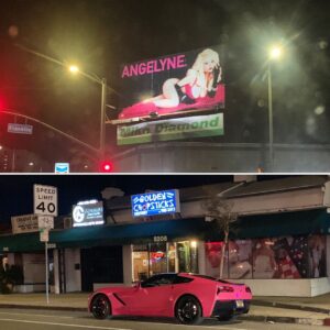 Brody Stevens Instagram - I’m seeing more & more of Angelyne. #almostDaily