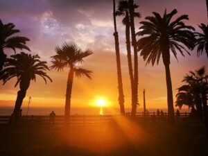 Brody Stevens Instagram - 🌅