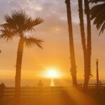 Brody Stevens Instagram – My late-afternoon in Santa Monica. 🌴🌊