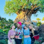 Bruna Tatar Instagram - photo dump day 2 tô gringa 🌳🌴🌸💕🐷 Walt Disney World Animal Kingdom