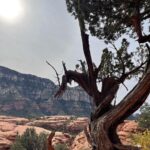 Bryan Safi Instagram - Merry Christmas from Mars/Sedona. Or as Fauci would say, “Sedoner.”