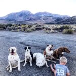 Burt Jenner Instagram - #PeeBreak on the #395north headed to Idaho...