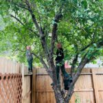 Burt Jenner Instagram – Have to give momma and the kids credit! I put some love into our apple trees in Tahoe this year… the kids went crazy picking them and @valeriepitalo  decided to make an apple pie from scratch… Kinda speechless how amazing it turned out!!! I think we are going to make this a yearly endeavor :-)