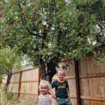 Burt Jenner Instagram - Have to give momma and the kids credit! I put some love into our apple trees in Tahoe this year... the kids went crazy picking them and @valeriepitalo decided to make an apple pie from scratch... Kinda speechless how amazing it turned out!!! I think we are going to make this a yearly endeavor :-)