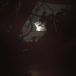 Álvaro Escobar Instagram -