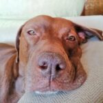 Álvaro Rico Instagram - La siesta