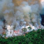 Álvaro Rico Instagram - El Amazonas, el mayor pulmón de la tierra está en llamas desde hace más de 16 días. Es uno de los ecosistemas más grandes del mundo que alberga miles de especies animales, el 50% de las especies vegetales del mundo, creando el 20% de oxígeno de la tierra. Recibo cientos de mensajes desde Brasil, Bolivia, de vecinos desesperados pidiendo ayuda. Todo esto está sucediendo sin apenas una cobertura mediática, casi diría en el anonimato. En España, arde la isla de Gran Canaria y es que de seguir así estamos condenados a vivir en un desierto ardiente donde la vida no tendrá cabida. Mi publicación tan solo es una más entre muchas pero me pregunto, después de todos los mensajes de apoyo que leo, de denuncias a esta catástrofe medioambiental, después ¿qué? ¿se tomarán medidas reales para poder parar esto?