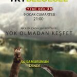 Çağan Şekercioğlu Instagram - Birazdan 21:00'de @trtbelgesel'de nefes kesen Tunceli Peri Suyu kanyonunda su samurunun peşindeyiz. Tonight at 9PM Istanbul time on the Turkey documentary channel TRT Belgesel, we are looking for otter in the Peri Canyon of Tunceli, eastern Turkey. @cagansekercioglu @uofu_science @natgeo @natgeoimagecollection  @natgeomagazineturkiye @natgeotvturkiye@e2medyapim #birds #nature #wildlife #natgeoimagecollection #conservation #biodiversity #biology #travel #animals #Adıyaman #Şanlıurfa #Türkiye #Turkey #Anatolia #mammals #birds