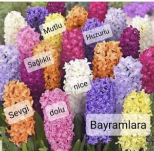 Özkan Uğur Instagram - Ailenizle,sevdiklerinizle,nice sağlıklı huzurlu bayramlar dilerim