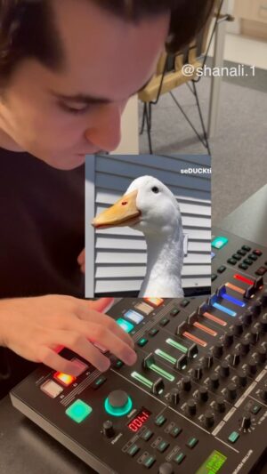 Özkan Uğur Instagram - Canım oğlumdan ördek techno @shanali.1