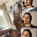Özkan Uğur Instagram - Oğlumun Winston’la yaptığı şarkı @shanali.1