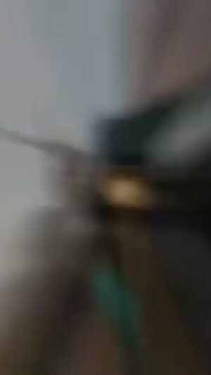 Özkan Uğur Instagram - 