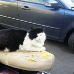 İlker Aksum Instagram - Kralın keyfi