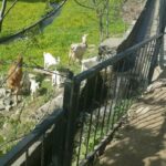 İlker Aksum Instagram - Biraz huzur