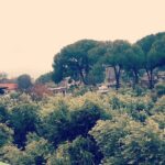 İlker Aksum Instagram -