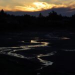 Cameron Boyce Instagram - in the archives. take me to your river British Columbia