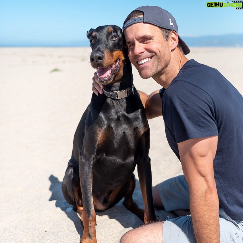 Cameron Mathison Instagram - This guy makes me smile☺️ Kinda looks like I make him smile too😂 📸 @vanessa.mathison #dogs #dogsofinstagram #doglover #instadog #dogoftheday #doglovers #doglife #pets #love #pet #puppies #dogsofinsta #ilovemydog #doglove #doberman Dog Beach In Huntington Beach