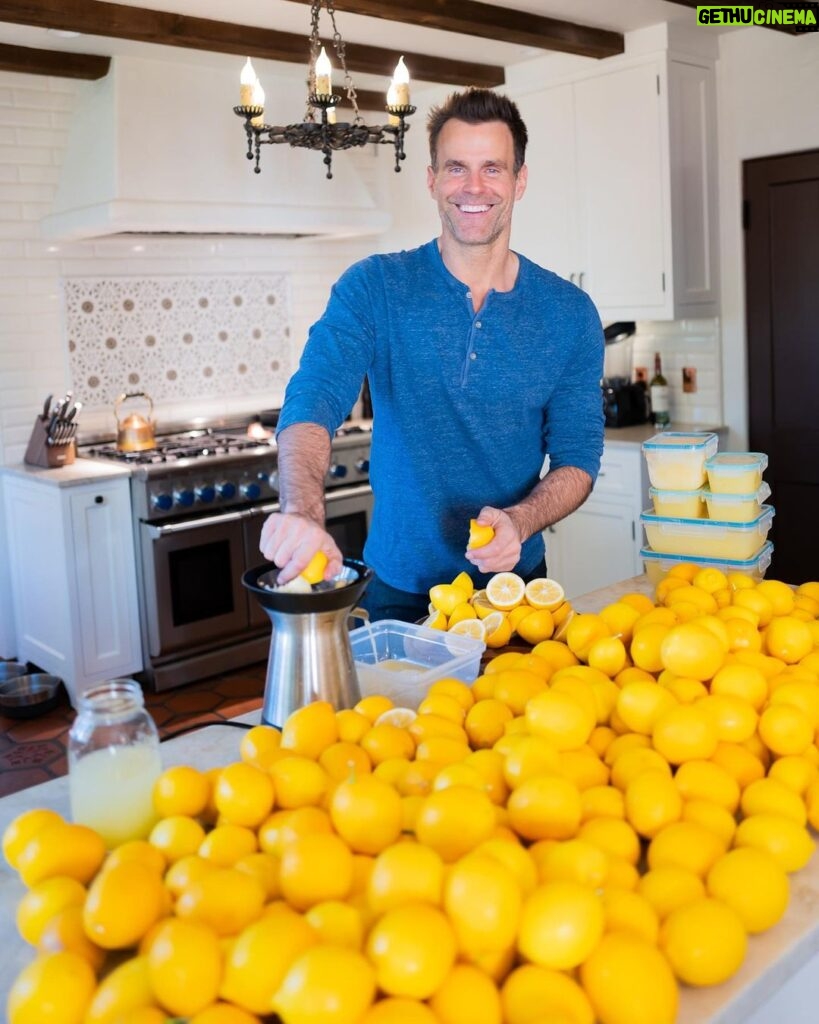Cameron Mathison Instagram - Caption this without using the word lemonade😃 (Yes all those Meyer lemons are from our tree. And that’s less than half😮) #whenlifegivesyoulemons #lemon #lemonjuice🍋 📸 @vanessa.mathison Altadena