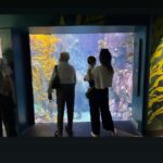 Camilla Arfwedson Instagram – 🐠❤️🐠 Long Beach Aquarium