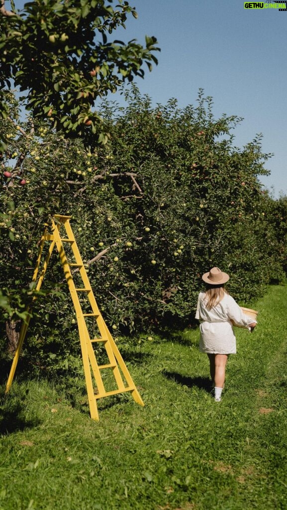 Camille D. Sperandio Instagram - La personne qui t’a envoyé ce REEL veut aller cueillir des pommes avec toi! 🍎 C’est une de mes activités préférées à faire entre amis ou en famille. Je suis allée au Verger Gibouleau à Laval @saveurs_laval x @villedelavalqc pour profiter du beau temps et des récoltes. Saveurs de Laval permet de découvrir une variété de produits frais tout en offrant plusieurs activités sur les fermes lavalloises, comme l’autocueillette de produits de saison! Maintenant, c’est le temps de cuisiner ma fameuse croustade aux pommes! #mangeonslocal #terroirdelaval #alimentlocal #Lavalqc #monlaval #lavalourien