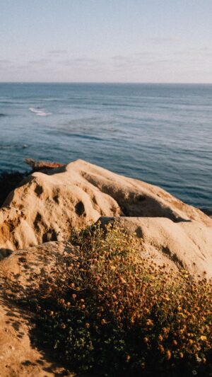 Camille D. Sperandio Instagram - ✨ free therapy ✨

📍Yucca Point & Razor Point — Torrey Pines State Natural Reserve — California